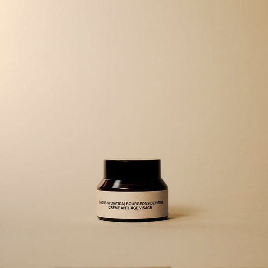 Crème anti-âge au bourgeon de hêtre
